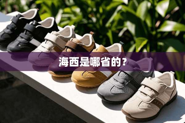 海西是哪省的？