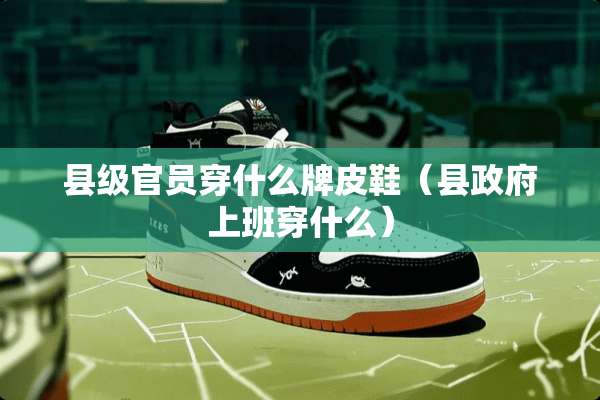 县级官员穿什么牌皮鞋(县**上班穿什么) 县级官员穿什么牌皮鞋(县**上班穿什么)