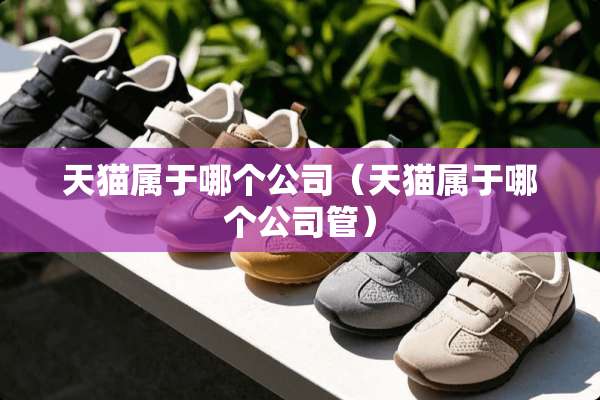 天猫属于哪个公司(天猫属于哪个公司管) 天猫属于哪个公司(天猫属于哪个公司管)