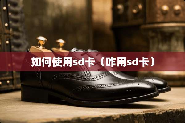 如何使用sd卡(咋用sd卡) 如何使用sd卡(咋用sd卡)