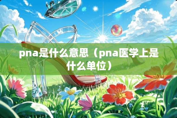 pna是什么意思（pna医学上是什么单位）
