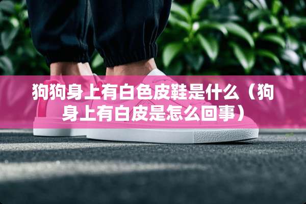 狗狗身上有白色皮鞋是什么(狗身上有白皮是怎么回事) 狗狗身上有白色皮鞋是什么(狗身上有白皮是怎么回事)