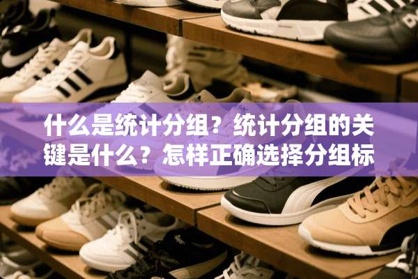 什么是统计分组？统计分组的关键是什么？怎样正确选择分组标志？