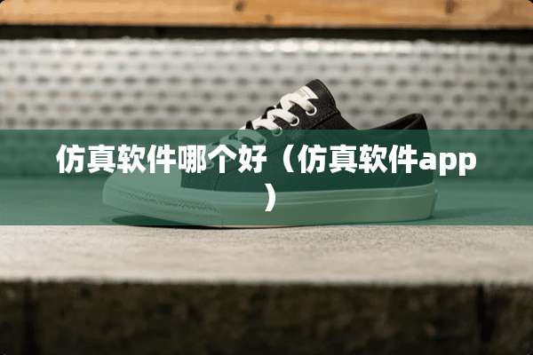 仿真软件哪个好(仿真软件app) 仿真软件哪个好(仿真软件app)