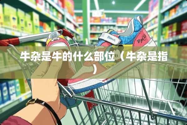 牛杂是牛的什么部位(牛杂是指) 牛杂是牛的什么部位(牛杂是指)