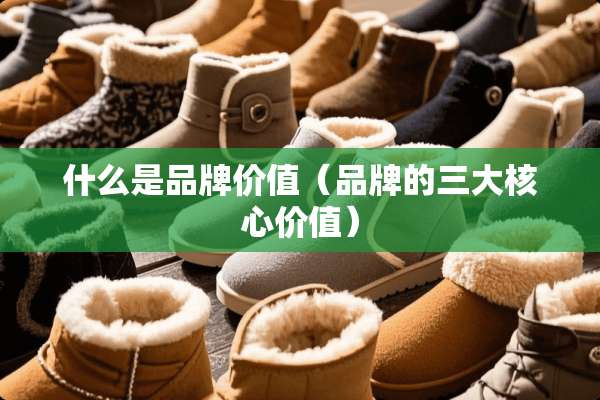 什么是品牌价值(品牌的三大核心价值) 什么是品牌价值(品牌的三大核心价值)