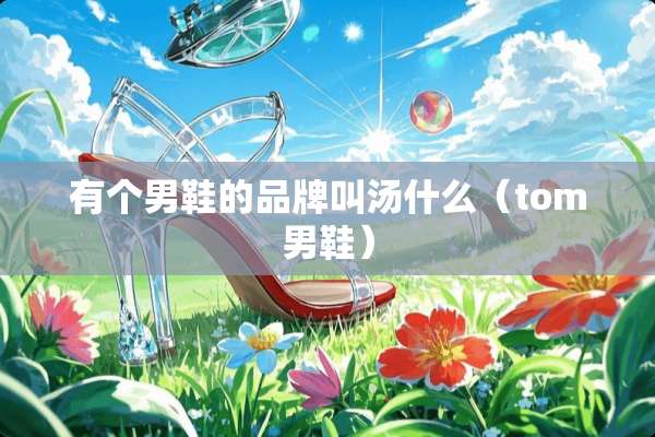 有个男鞋的品牌叫汤什么（tom男鞋）