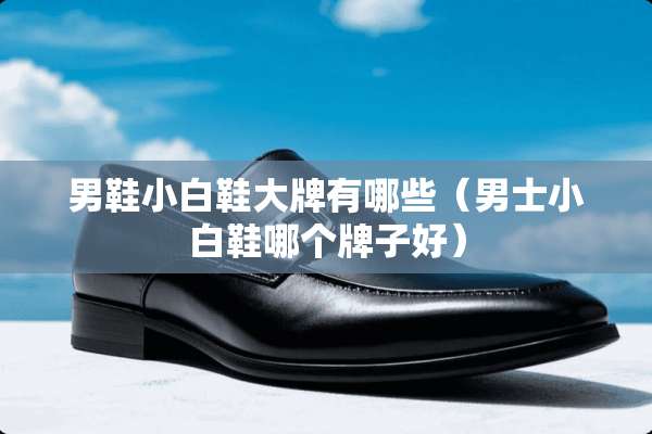 男鞋小白鞋大牌有哪些(男士小白鞋哪个牌子好) 男鞋小白鞋大牌有哪些(男士小白鞋哪个牌子好)