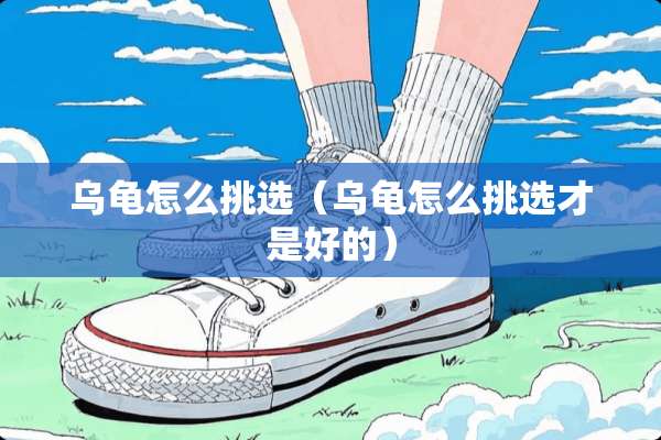 乌龟怎么挑选(乌龟怎么挑选才是好的) 乌龟怎么挑选(乌龟怎么挑选才是好的)