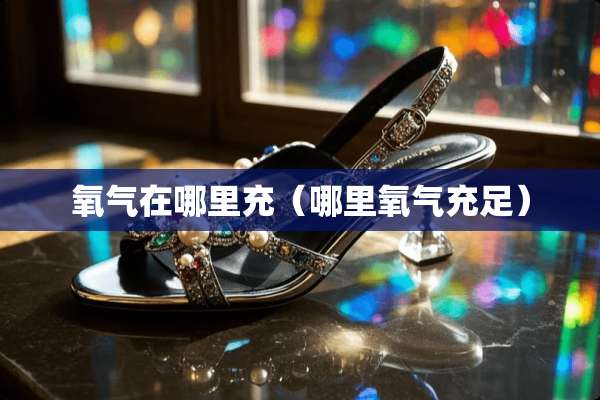 氧气在哪里充（哪里氧气充足）