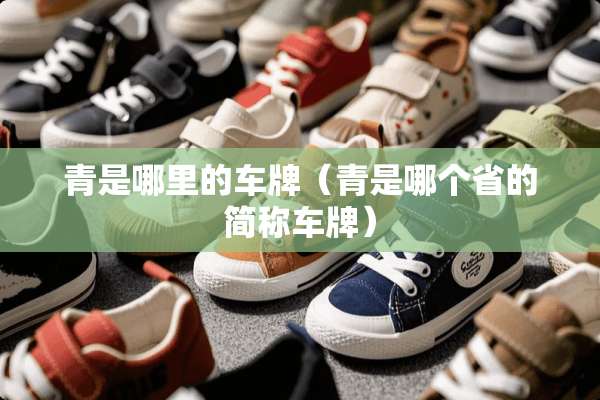 青是哪里的车牌（青是哪个省的简称车牌）