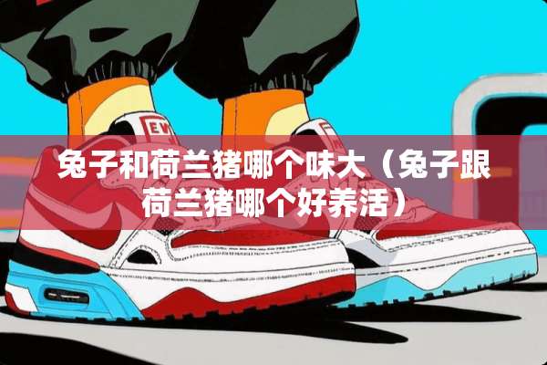 兔子和荷兰猪哪个味大(兔子跟荷兰猪哪个好养活) 兔子和荷兰猪哪个味大(兔子跟荷兰猪哪个好养活)
