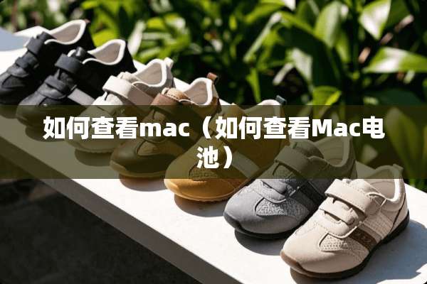 如何查看mac（如何查看Mac电池）