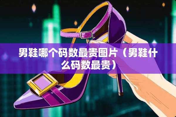男鞋哪个码数最贵图片（男鞋什么码数最贵）