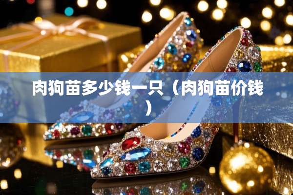 肉狗苗多少钱一只（肉狗苗价钱）