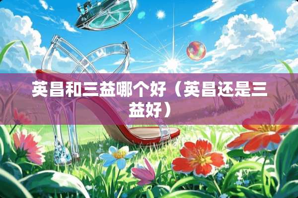 英昌和三益哪个好（英昌还是三益好）