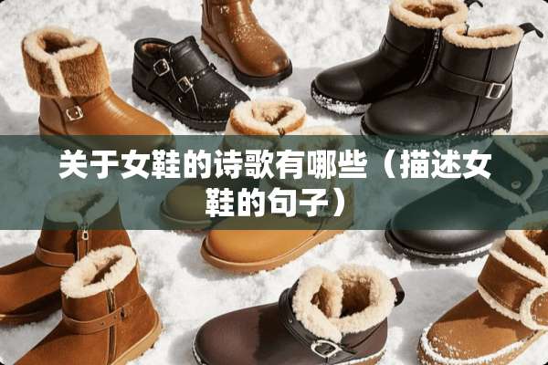 关于女鞋的诗歌有哪些（描述女鞋的句子）