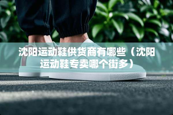 沈阳运动鞋供货商有哪些（沈阳运动鞋专卖哪个街多）