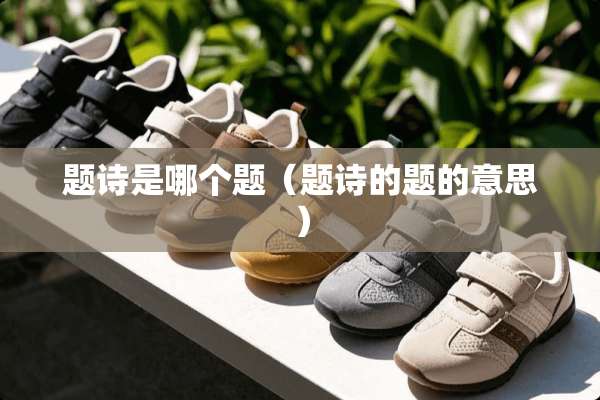 题诗是哪个题（题诗的题的意思）