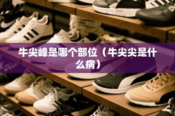 牛尖峰是哪个部位（牛尖尖是什么病）