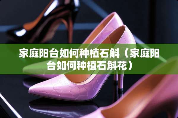 家庭阳台如何种植石斛（家庭阳台如何种植石斛花）