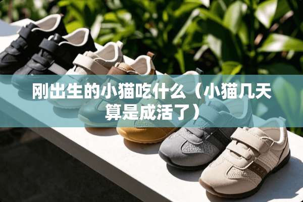 刚出生的小猫吃什么（小猫几天算是成活了）