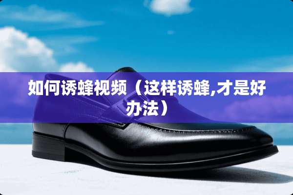 如何诱蜂视频（这样诱蜂,才是好办法）