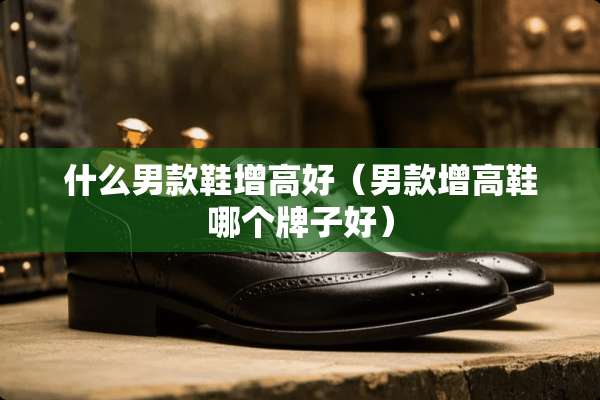 什么男款鞋增高好(男款增高鞋哪个牌子好) 什么男款鞋增高好(男款增高鞋哪个牌子好)