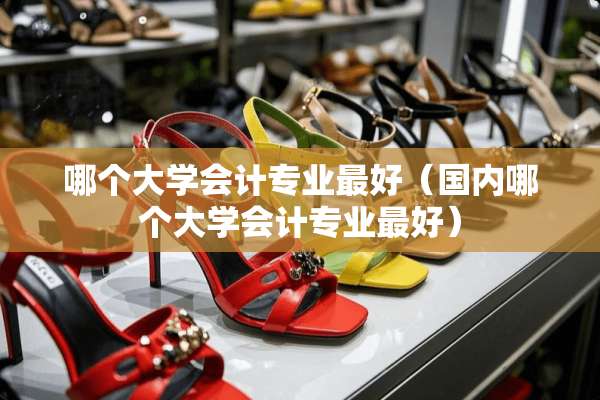 哪个大学会计专业最好（国内哪个大学会计专业最好）