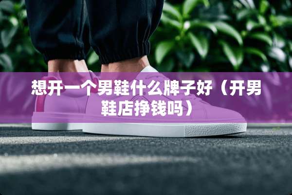 想开一个男鞋什么牌子好（开男鞋店挣钱吗）
