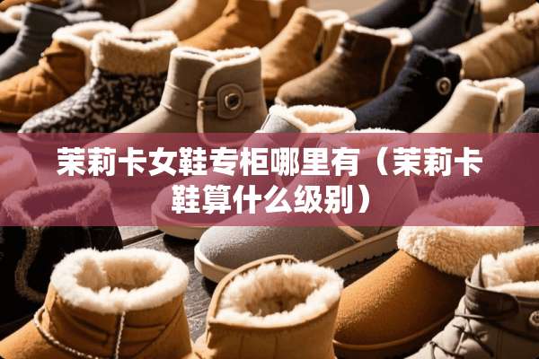茉莉卡女鞋专柜哪里有（茉莉卡鞋算什么级别）