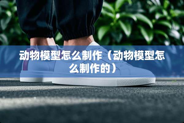动物模型怎么制作（动物模型怎么制作的）