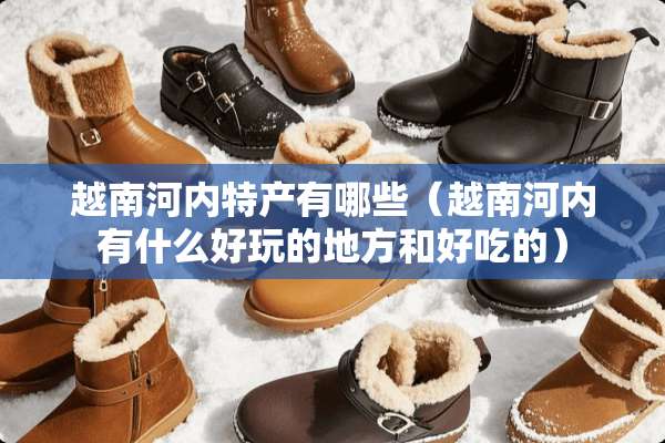 越南河内特产有哪些（越南河内有什么好玩的地方和好吃的）