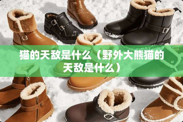 猫的天敌是什么（野外大熊猫的天敌是什么）