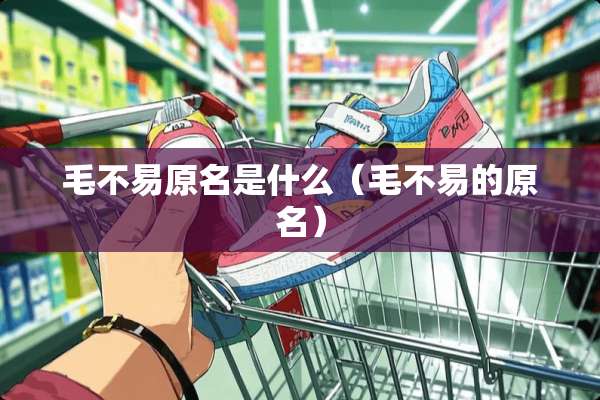 毛不易原名是什么（毛不易的原名）