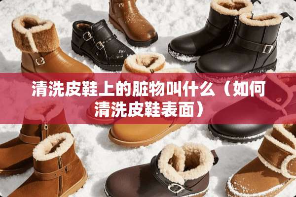 清洗皮鞋上的脏物叫什么（如何清洗皮鞋表面）