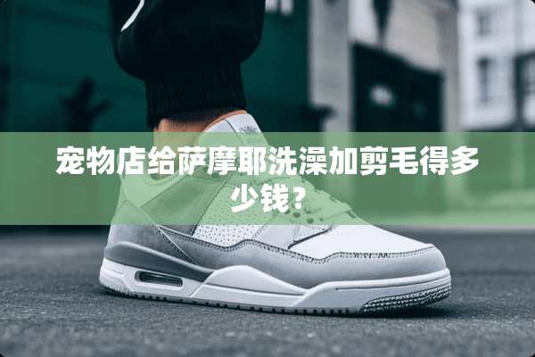 宠物店给萨摩耶洗澡加剪毛得多少钱？