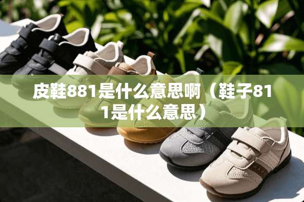 皮鞋881是什么意思啊（鞋子811是什么意思）