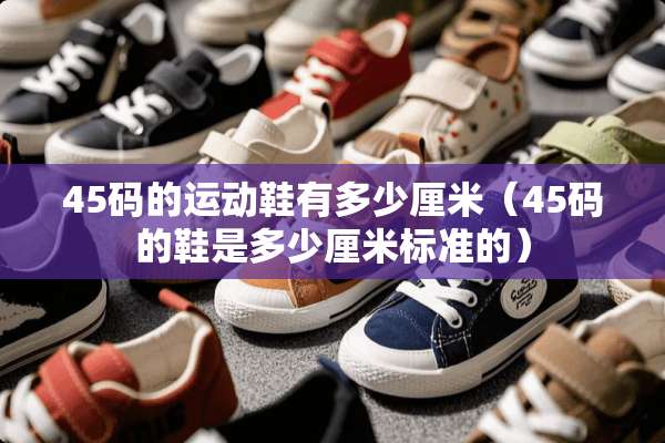 45码的运动鞋有多少厘米(45码的鞋是多少厘米标准的) 45码的运动鞋有多少厘米(45码的鞋是多少厘米标准的)