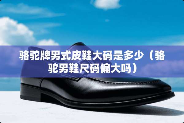 骆驼牌男式皮鞋大码是多少（骆驼男鞋尺码偏大吗）