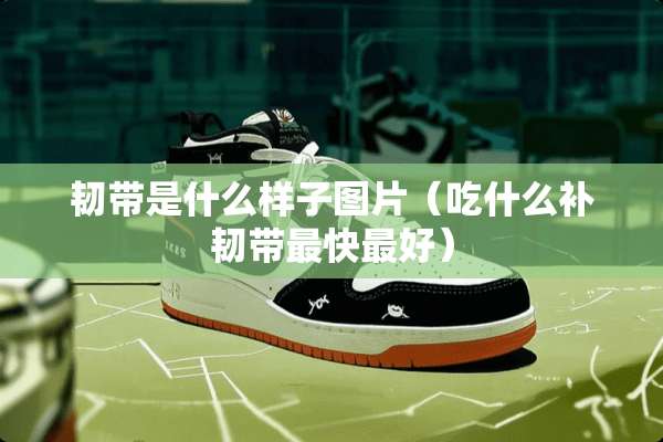 韧带是什么样子图片(吃什么补韧带最快最好) 韧带是什么样子图片(吃什么补韧带最快最好)