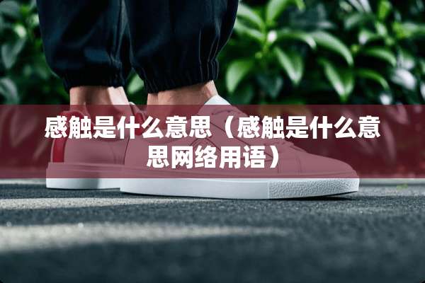 感触是什么意思（感触是什么意思网络用语）