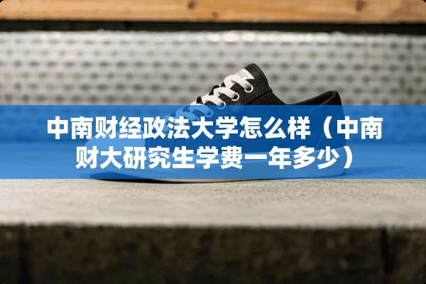 中南财经政法大学怎么样（中南财大研究生学费一年多少）