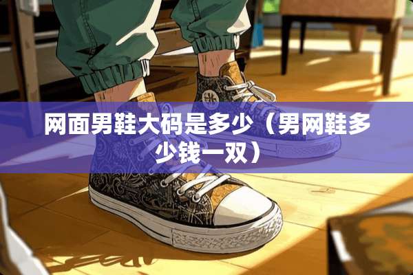 网面男鞋大码是多少（男网鞋多少钱一双）