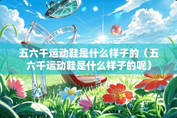 五六千运动鞋是什么样子的（五六千运动鞋是什么样子的呢）