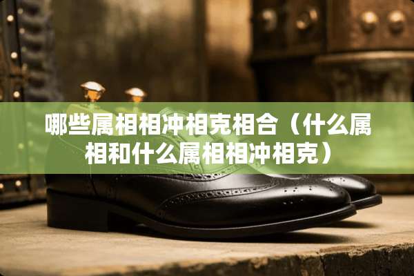 哪些属相相冲相克相合（什么属相和什么属相相冲相克）