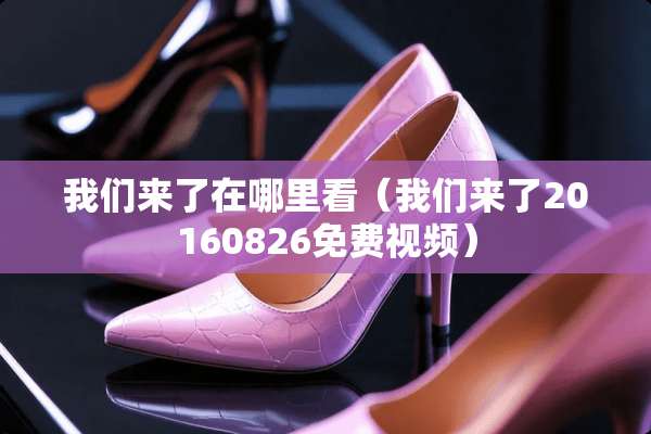 我们来了在哪里看（我们来了20160826免费视频）