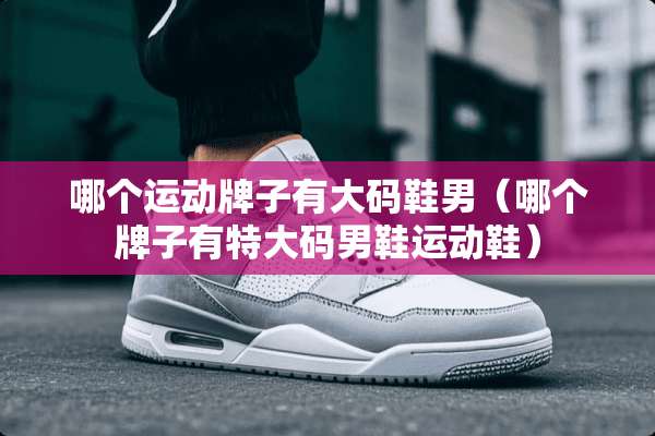 哪个运动牌子有大码鞋男（哪个牌子有特大码男鞋运动鞋）