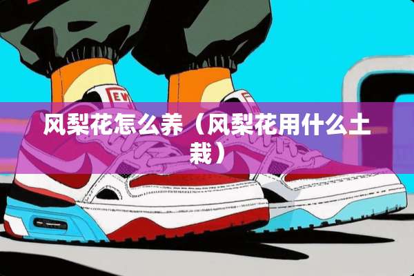 风梨花怎么养（风梨花用什么土栽）