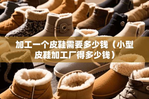 加工一个皮鞋需要多少钱（小型皮鞋加工厂得多少钱）